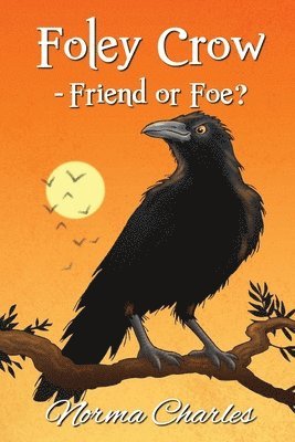 bokomslag Foley Crow - Friend or Foe?