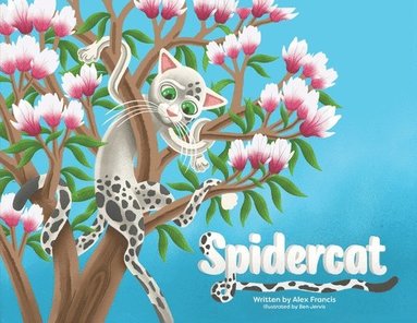 bokomslag Spidercat