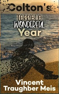 bokomslag Colton's Terrible Wonderful Year