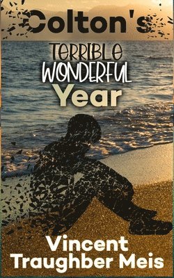 Vincent Traughber Meis - Colton's Terrible Wonderful Year, Häftad