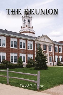 David B Pincus, David B. Pincus, B. Pincus, David - Reunion, Häftad