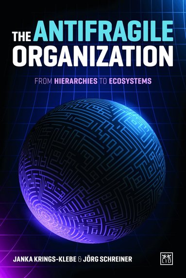 Janka Krings-Klebe, Jörg Schreiner - Antifragile Organization, Häftad
