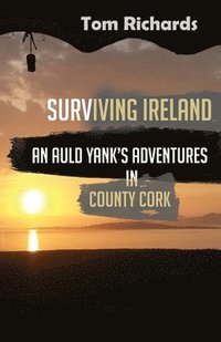 bokomslag Surviving Ireland