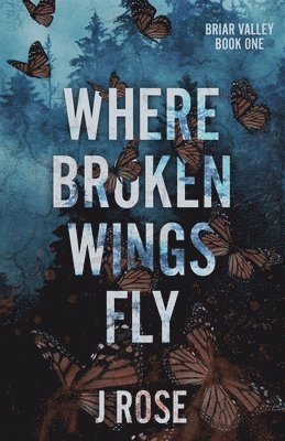 Where Broken Wings Fly 1