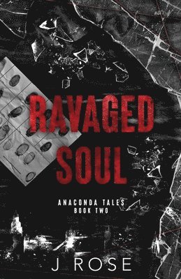 bokomslag Ravaged Soul