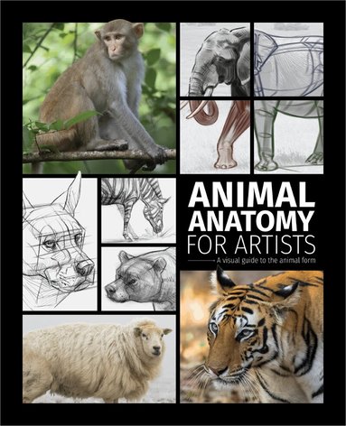 3dtotal Publishing - Animal Anatomy for Artists, Inbunden