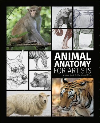 bokomslag Animal Anatomy for Artists