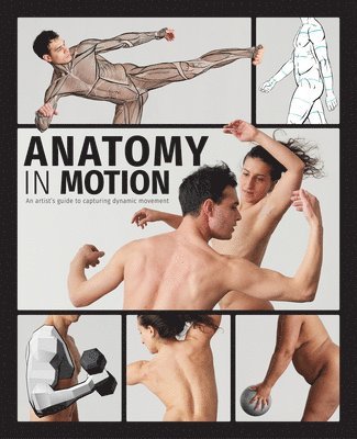 Anatomy in Motion 1