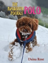 bokomslag The Naughty Poodle Polo