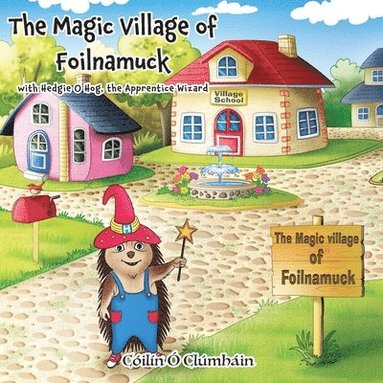 bokomslag The Magic Village of Foilnamuck