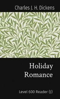 bokomslag Holiday Romance