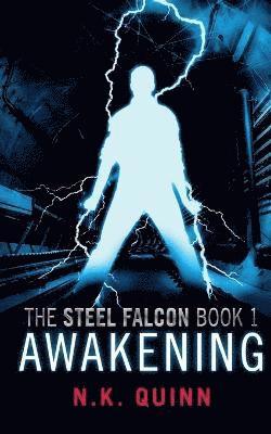 The Steel Falcon Book1 1