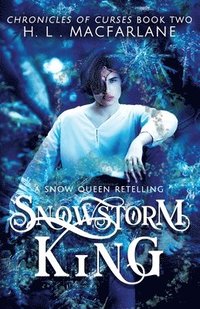 bokomslag Snowstorm King