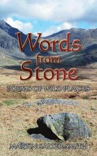 bokomslag Words from Stone