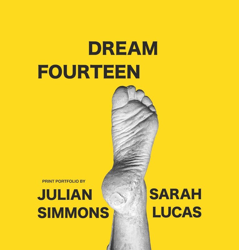 Julian Simmons, Sarah Lucas - Dream Fourteen, Häftad