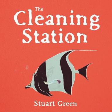 Stuart Green - Cleaning Station, Häftad