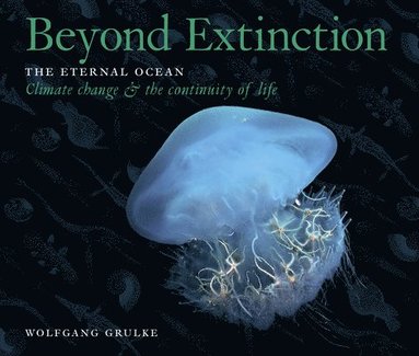 bokomslag Beyond Extinction: The Eternal Ocean. Climate Change & the Continuity of Life