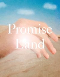 bokomslag Promise Land