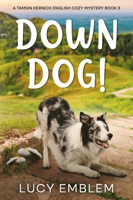 Down Dog! 1