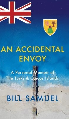bokomslag Accidental Envoy