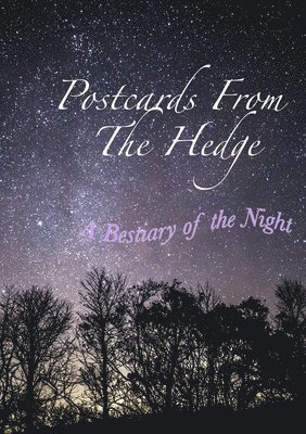 `desmond Childs, `Desmond Childs, Mark Davidson - Postcards From The Hedge, Häftad