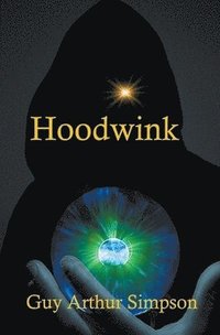 bokomslag Hoodwink