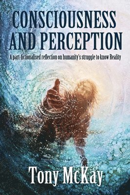 bokomslag CONSCIOUSNESS AND PERCEPTION