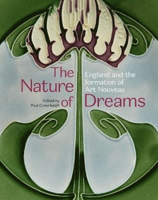 bokomslag The Nature of Dreams
