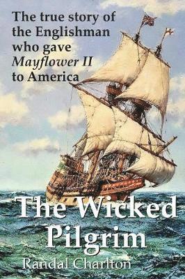 bokomslag Wicked Pilgrim