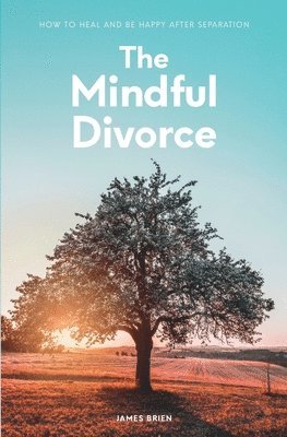 bokomslag Mindful Divorce