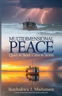 bokomslag Multidimensional Peace