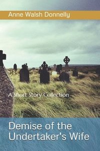 bokomslag Demise of the Undertaker's WIfe: A Short Story Collection