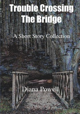 Diana Powell - Trouble Crossing the Bridge, Häftad