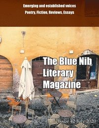 bokomslag The Blue Nib Literary Magazine