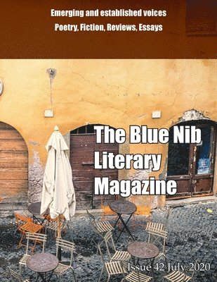 Various Contributors - Blue Nib Literary Magazine, Häftad