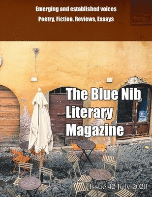 The Blue Nib Literary Magazine 1