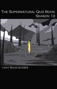 bokomslag The Supernatural Quiz Book Season 13