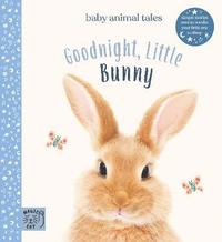 bokomslag Goodnight, Little Bunny