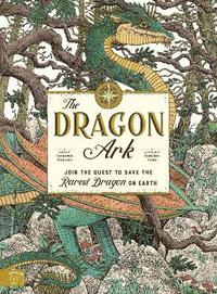 bokomslag The Dragon Ark