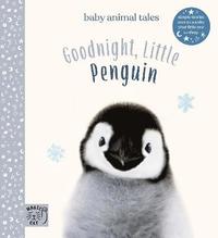 bokomslag Goodnight, Little Penguin