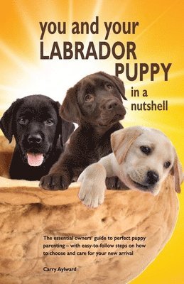 You and Your Labrador Puppy in a Nutshell 1