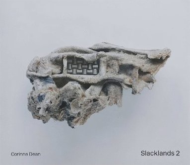 bokomslag Slacklands 2
