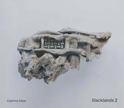 Slacklands 2 1