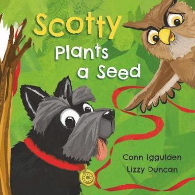 bokomslag Scotty Plants A Seed
