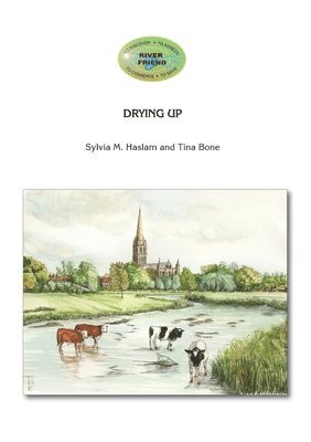 Sylvia Mary Haslam, Tina Bone, Tina Bone - Drying Up, Häftad
