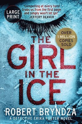 bokomslag The Girl in the Ice