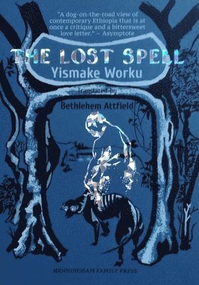 bokomslag Lost Spell