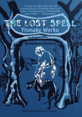 bokomslag The Lost Spell