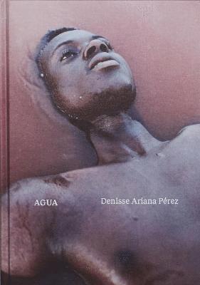 Denisse Ariana Pérez, Denisse Ariana Perez - Agua, Inbunden