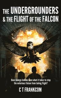 bokomslag The Undergrounders & the Flight of the Falcon